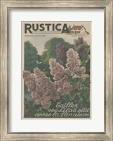 Plantez Des Lilacs Fine Art Print