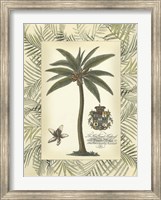 Palm in Bamboo Frame I Fine Art Print