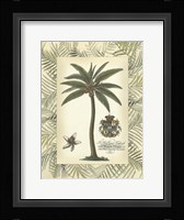 Palm in Bamboo Frame I Fine Art Print