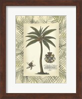 Palm in Bamboo Frame I Fine Art Print
