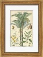 Palms in Bamboo I Fine Art Print