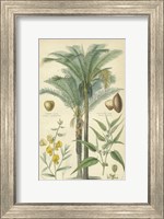 Palms in Bamboo I Fine Art Print
