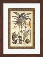 Palms in Bamboo II Fine Art Print