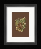 Fruit on Burgundy I Framed Print