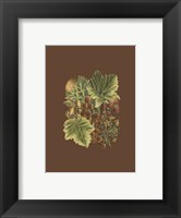 Fruit on Burgundy II Framed Print