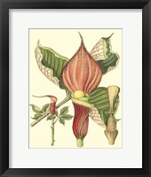 Botanical Fantasy I Fine Art Print