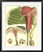 Botanical Fantasy II Fine Art Print
