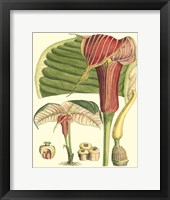 Botanical Fantasy II Framed Print