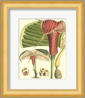 Botanical Fantasy II Fine Art Print