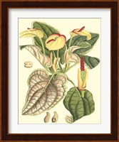 Botanical Fantasy III Fine Art Print