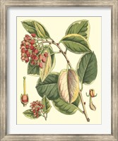 Botanical Fantasy IV Fine Art Print