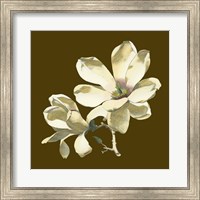 Magnolia on Taupe I Fine Art Print