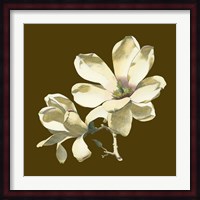 Magnolia on Taupe I Fine Art Print