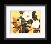 Southern Magnolia I Fine Art Print