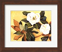 Southern Magnolia I Fine Art Print