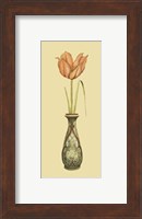 Tulip in Vase I Fine Art Print