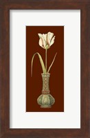 Tulip in Vase IV Fine Art Print