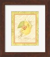 Le Citron Fine Art Print