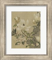Magnolia and Butterfly Fine Art Print