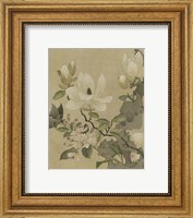 Magnolia and Butterfly Fine Art Print