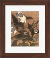 Magnolia and Praying Mantis Fine Art Print