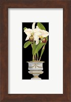 Orchids in Silver II Fine Art Print