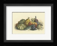 Melons and Gourds Fine Art Print