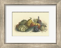 Melons and Gourds Fine Art Print