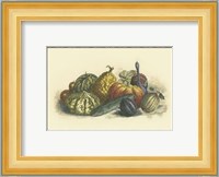 Melons and Gourds Fine Art Print
