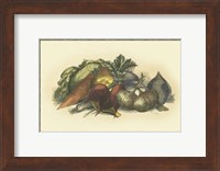 Vegetables from the Earth Fine Art Print