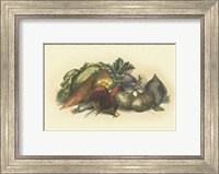 Vegetables from the Earth Fine Art Print