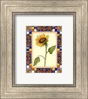 Tuscany Sunflower I Fine Art Print