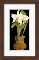 Orchids in Pot I Fine Art Print