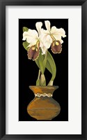 Orchids in Pot II Fine Art Print