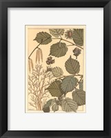 Hazel Tree Fine Art Print