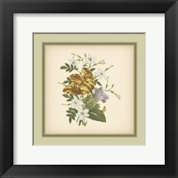 Tuscany Bouquet (P) IX Framed Print