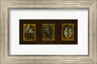 Block Leaf Panel II Fine Art Print