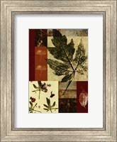 Leaf Print Collage (U) III Fine Art Print