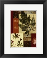 Leaf Print Collage (U) III Fine Art Print