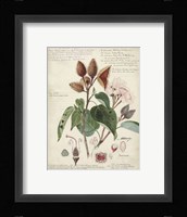 Botanical V Giclee