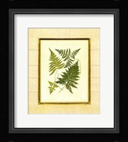 Fern with Crackle Mat  I Fine Art Print