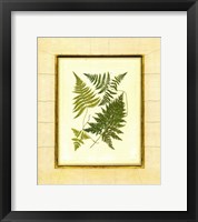 Fern with Crackle Mat  I Fine Art Print