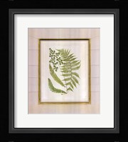 Fern with Crackle Mat (H) II Fine Art Print