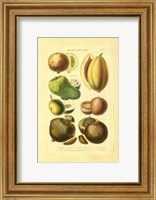 Fruits and Nuts I Fine Art Print