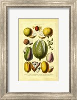 Fruits and Nuts II Fine Art Print