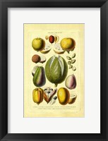 Fruits and Nuts II Fine Art Print