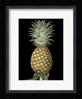 Brookshaw's Exotic Pineapple I Giclee