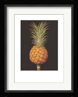 Brookshaw's Exotic Pineapple II Giclee