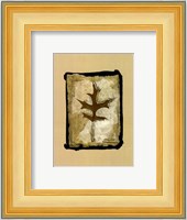 Kyoto Leaves I Fine Art Print