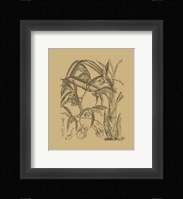 Orchid on Khaki(WG) I Fine Art Print